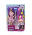 Barbie Skipper Babysitters Inc dolls and playset