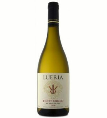 Wine white Luria Pinot Grigio 750 ml